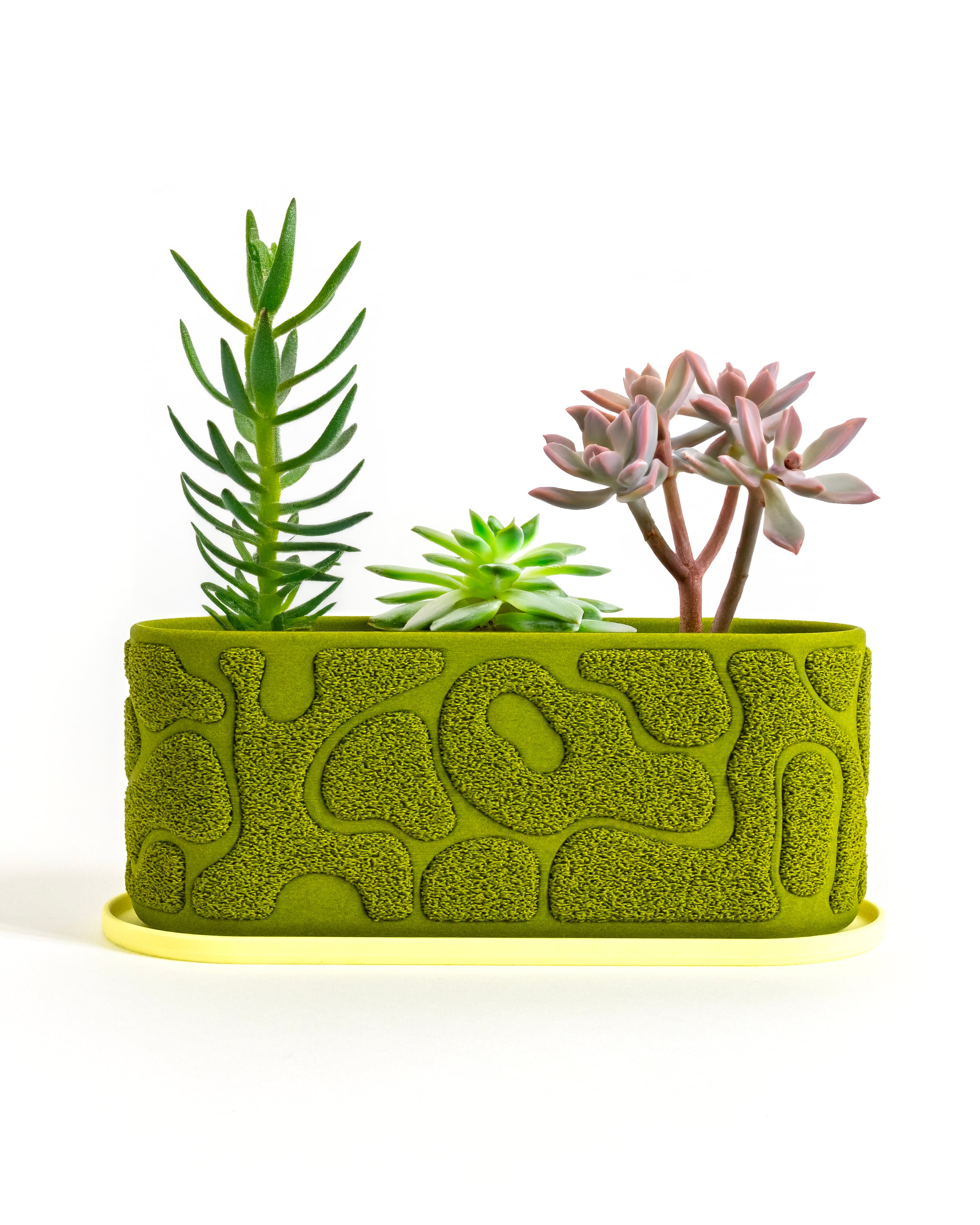 Moss Planter 70x120mm 3d model