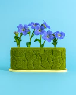 Moss Planter 70x120mm 3d model