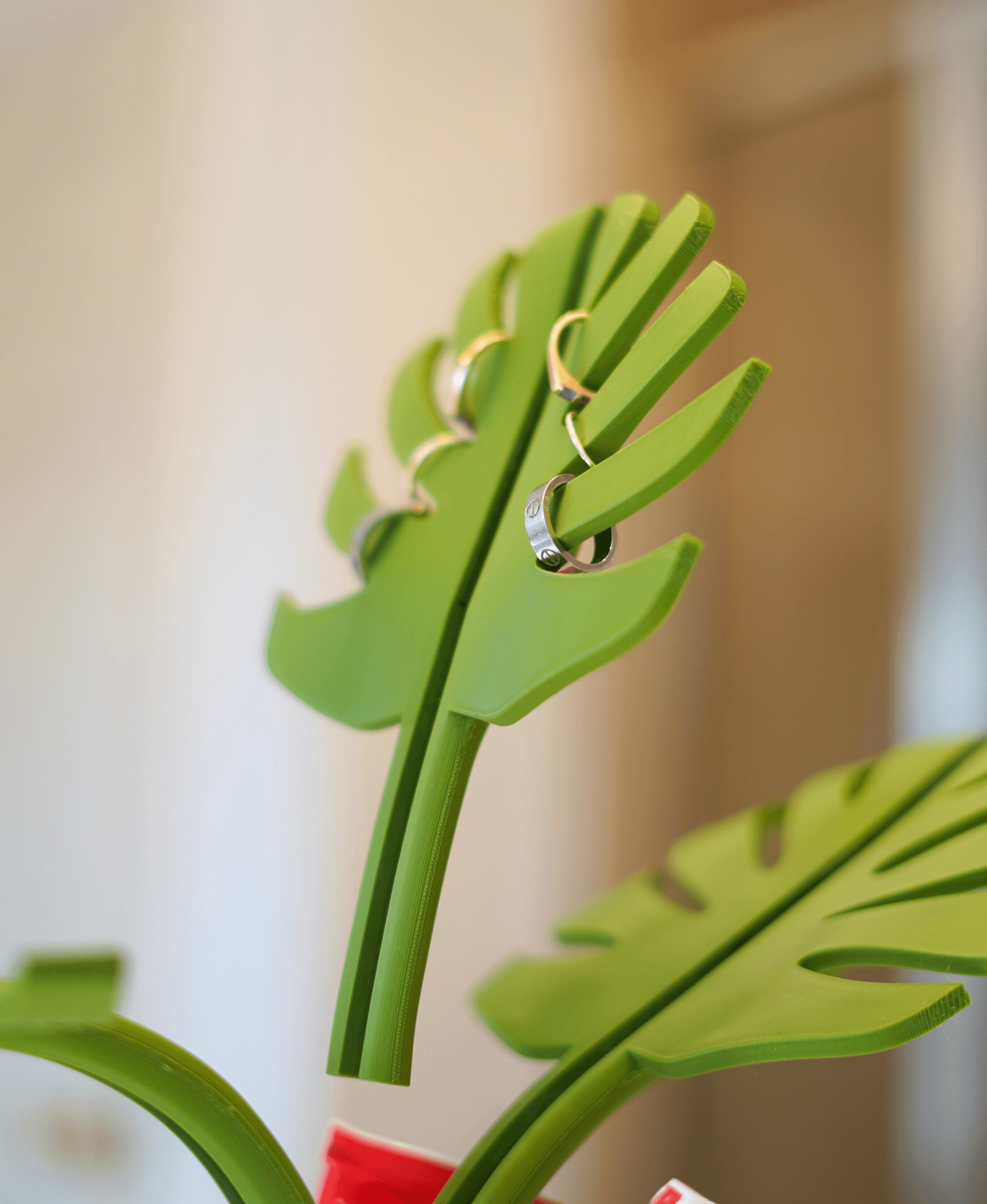 Mirror Monstera 3d model