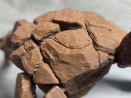Project Hail Mary-Rocky for Perfect FDM Printing 3d model