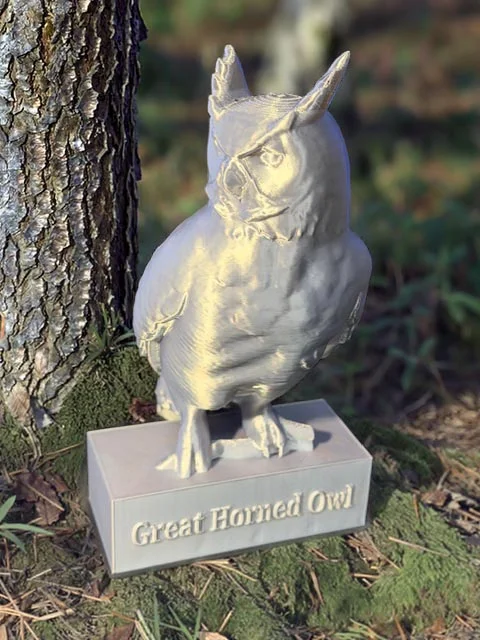 Great Horned Owl 3d model