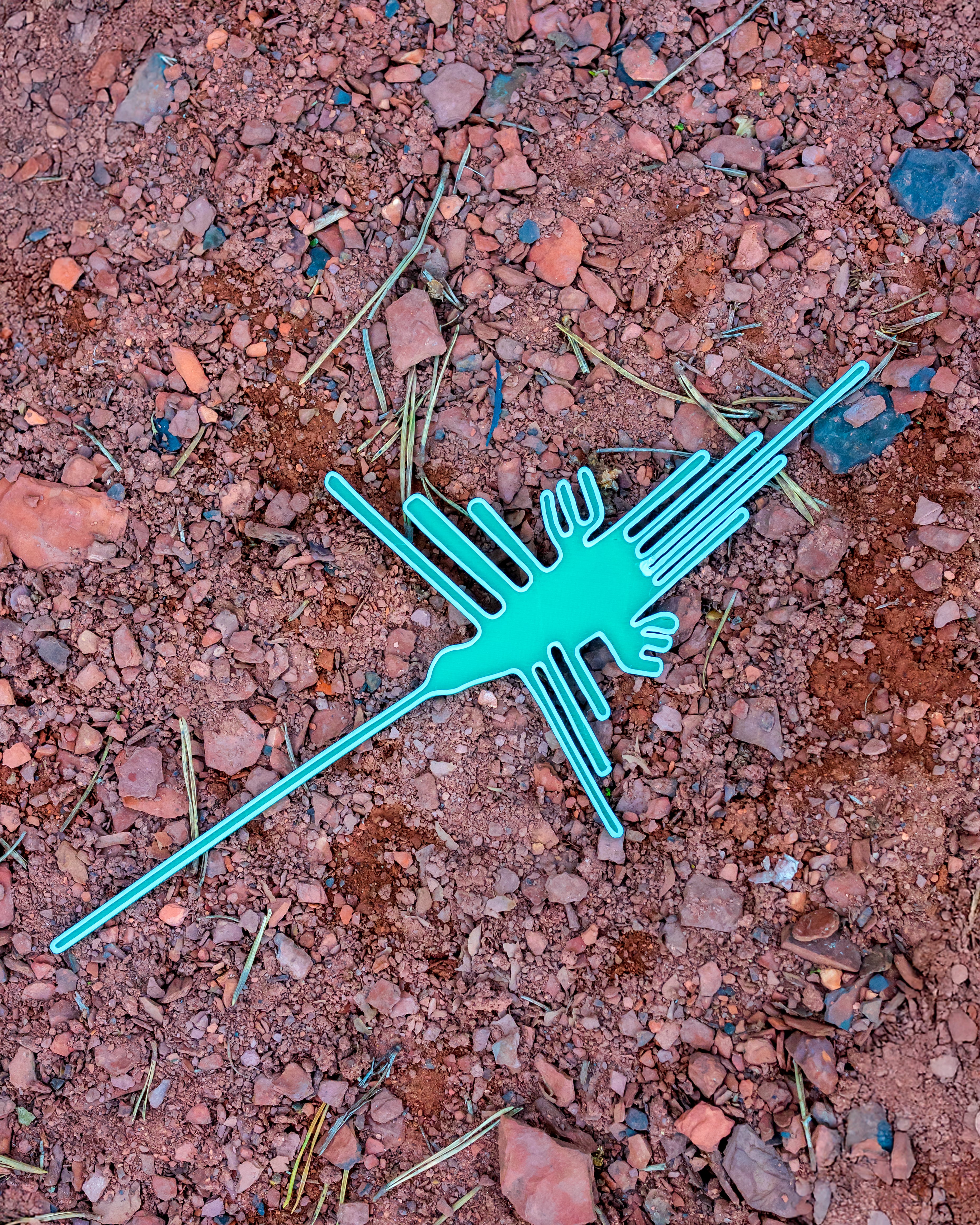 Nazca Hummingbird // Líneas de Nazca 3d model