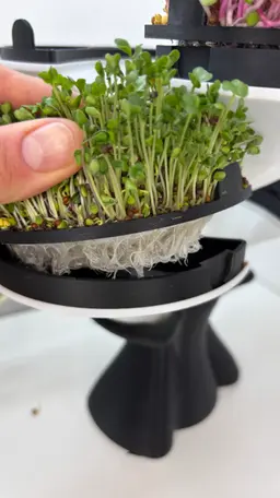Modular Microgreens Tower - Nature-Inspired 3D-Printed Vertical Growing System 3d model