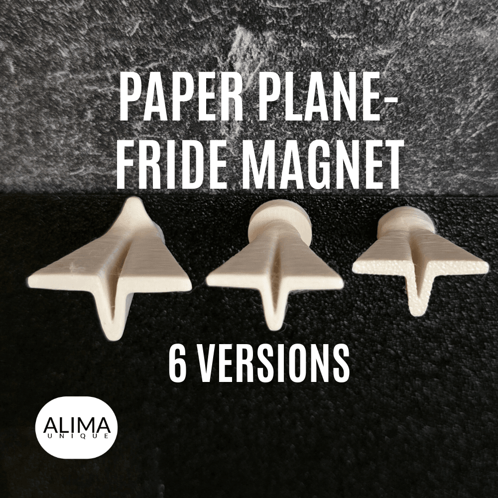 Paper Plane - Fridge Magnet - 6 Versions 3d model