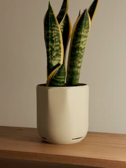 Modern Planter collection | drainage built in 3d model