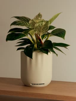 Modern Planter collection | drainage built in 3d model