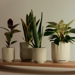 Modern Planter collection | drainage built in 3d model