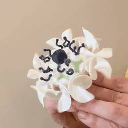 Anemone Floramorph 3d model