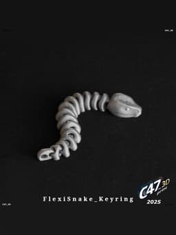 Flexi Snake 3d model