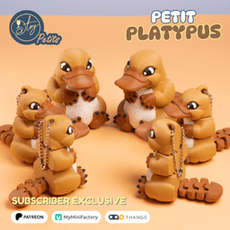 Petit Platypus 3d model