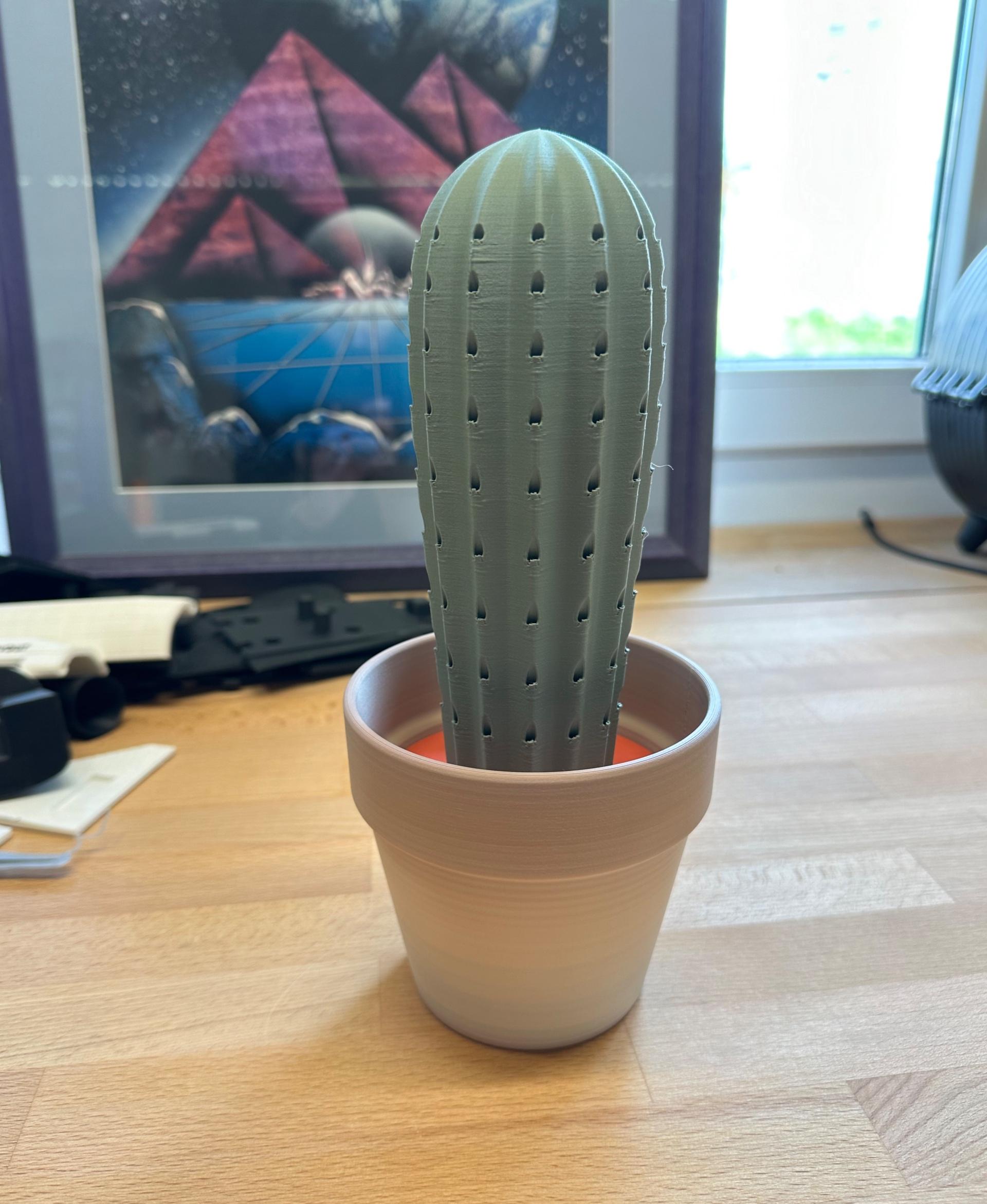 Cactus Toothpick holder - Printed fine with a .6 nozzle in PolyTerra PLA (Muted Green, Cappuccino, Muted Red). The spring is a little loose, so the travel is limited. Will reprint that with some adjustments to make it a bit firmer or longer.  - 3d model