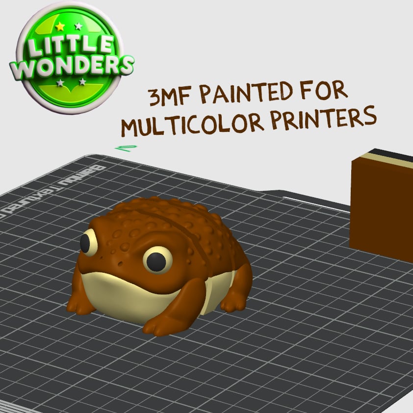 Rain Frog 3d model