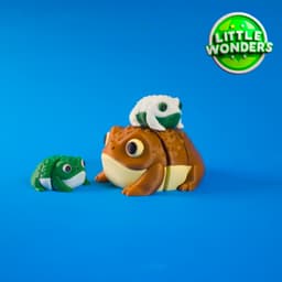 Rain Frog 3d model