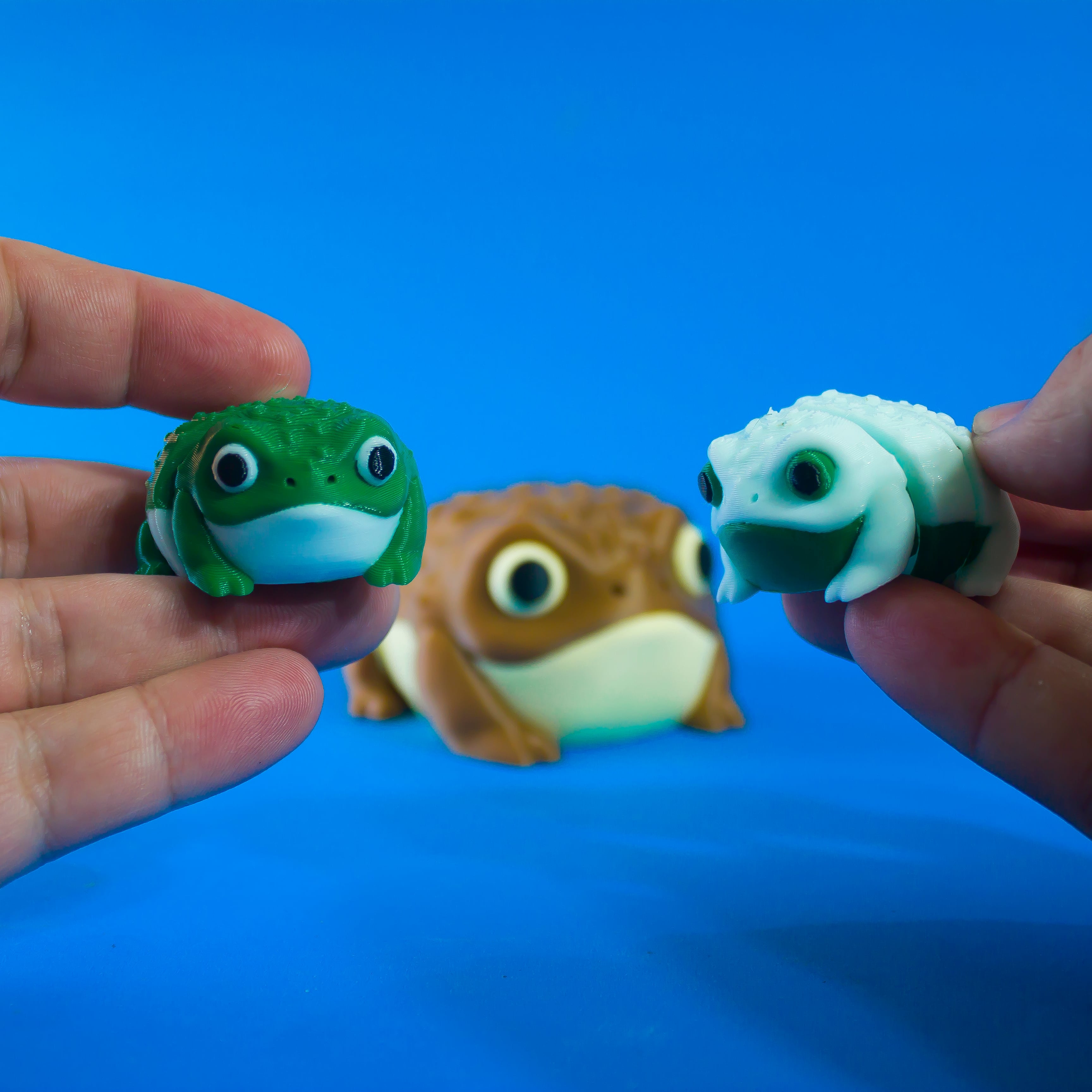 Rain Frog 3d model