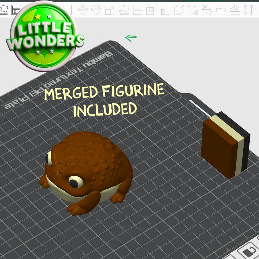 Rain Frog 3d model