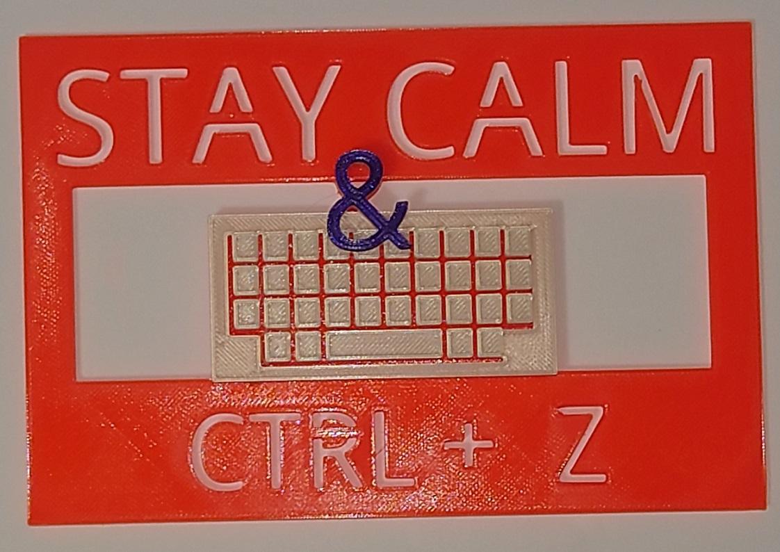 StayCalmCTRLAltDel.stl 3d model