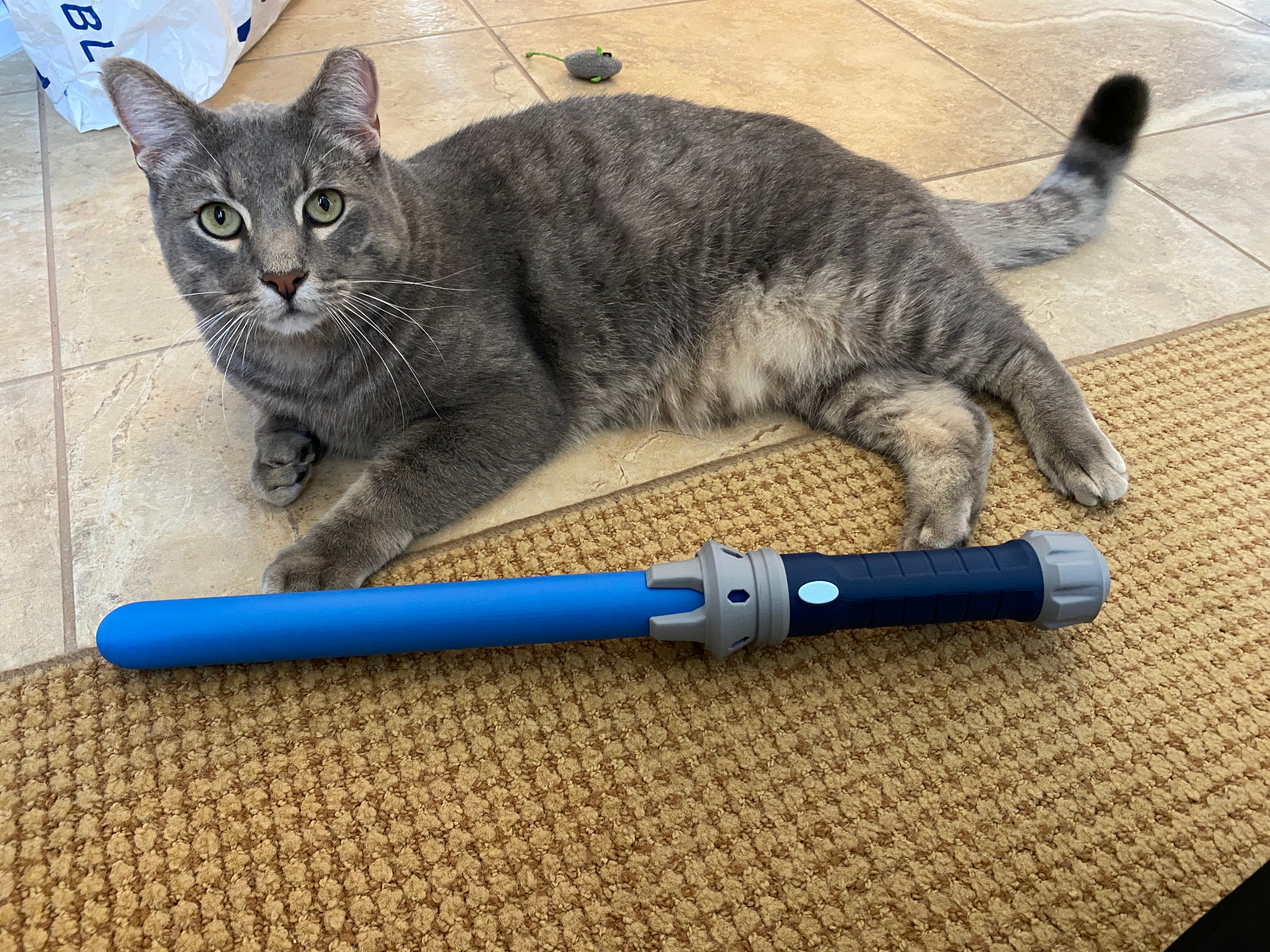 It’s the perfect size.
