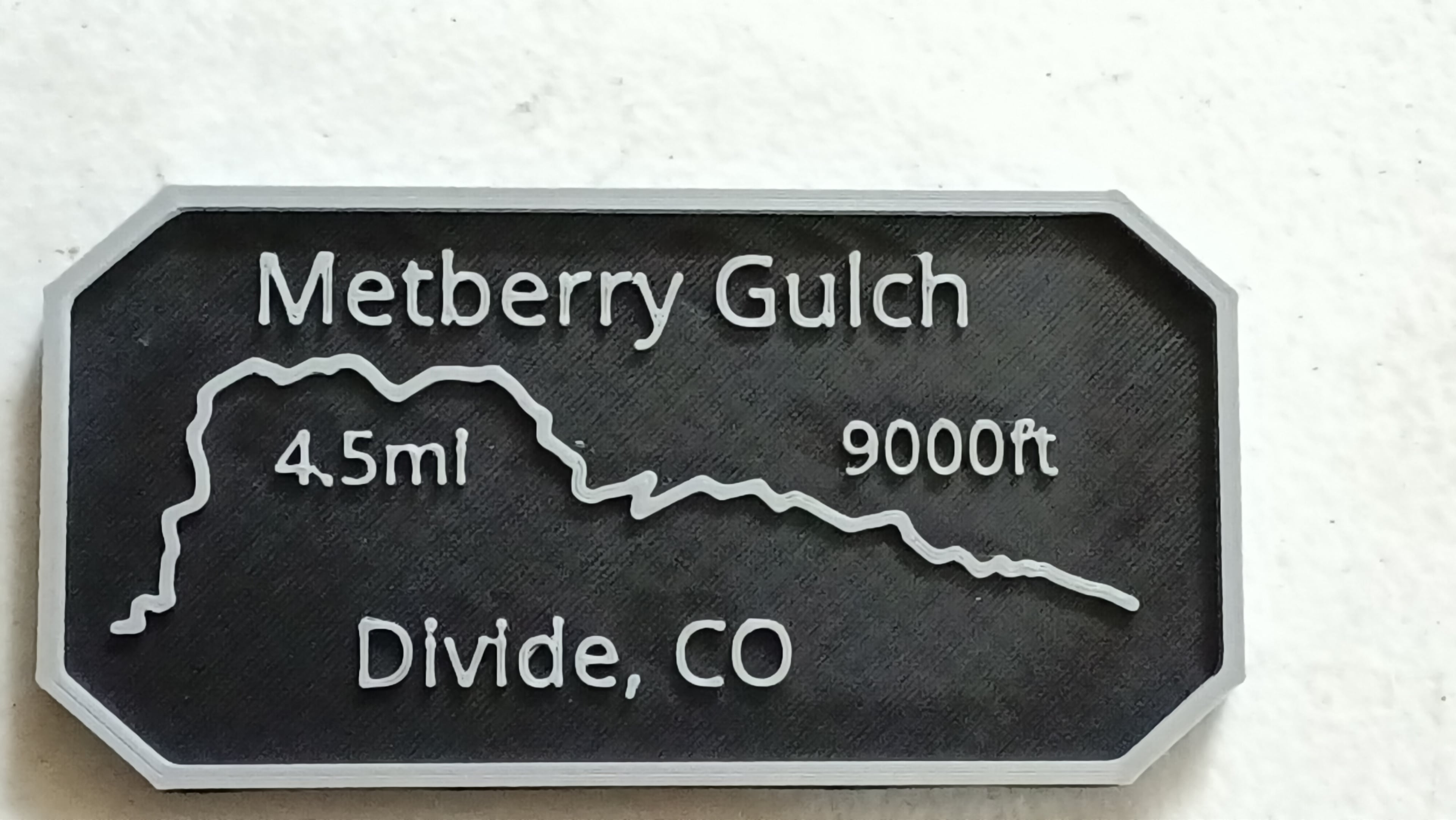 Maverick's Trail Badge Metberry Gulch Divide Colorado 3d model