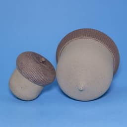 Medium Acorntainer // Secret Capsule or Musical Shaker 3d model