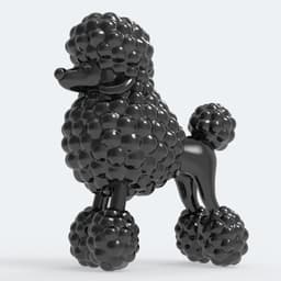 POODLE 3d model