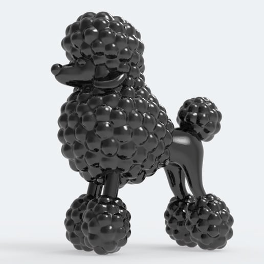 POODLE 3d model