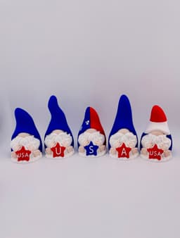 Patriotic Gnomes USA 3d model