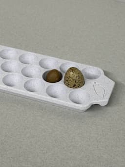 17 Quail Egg Tray with handles 3d model