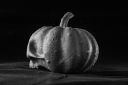 Pumpkin Skull Shaman (Teyoc) (Pre Supported) 3d model
