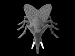 fly to elephant - aus einer Fliege, einen Elephant gemacht... 3d model