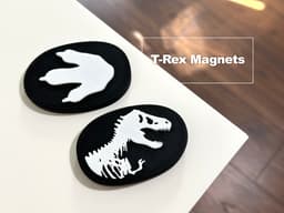 T-Rex Magnets 3d model