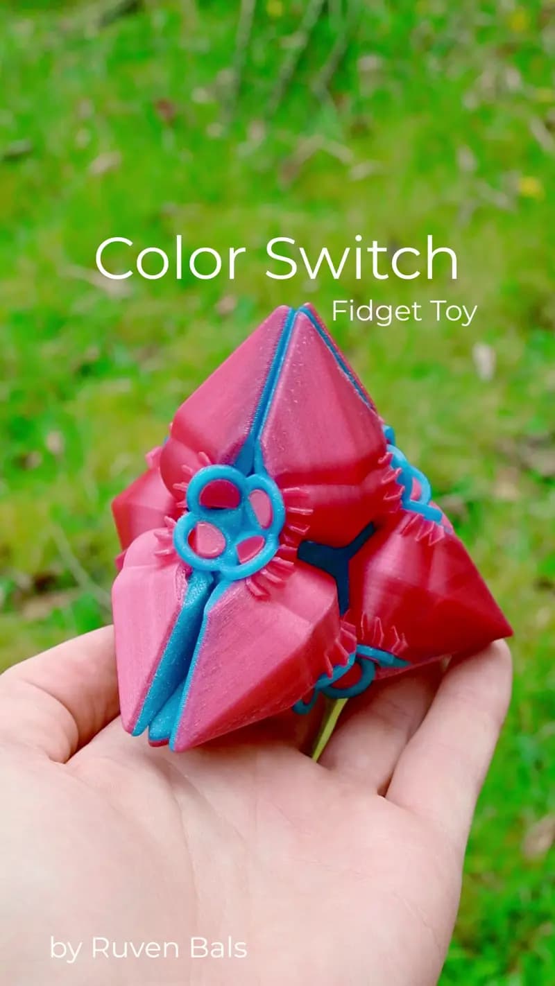 Colour Switch Fidget Toy 3d model