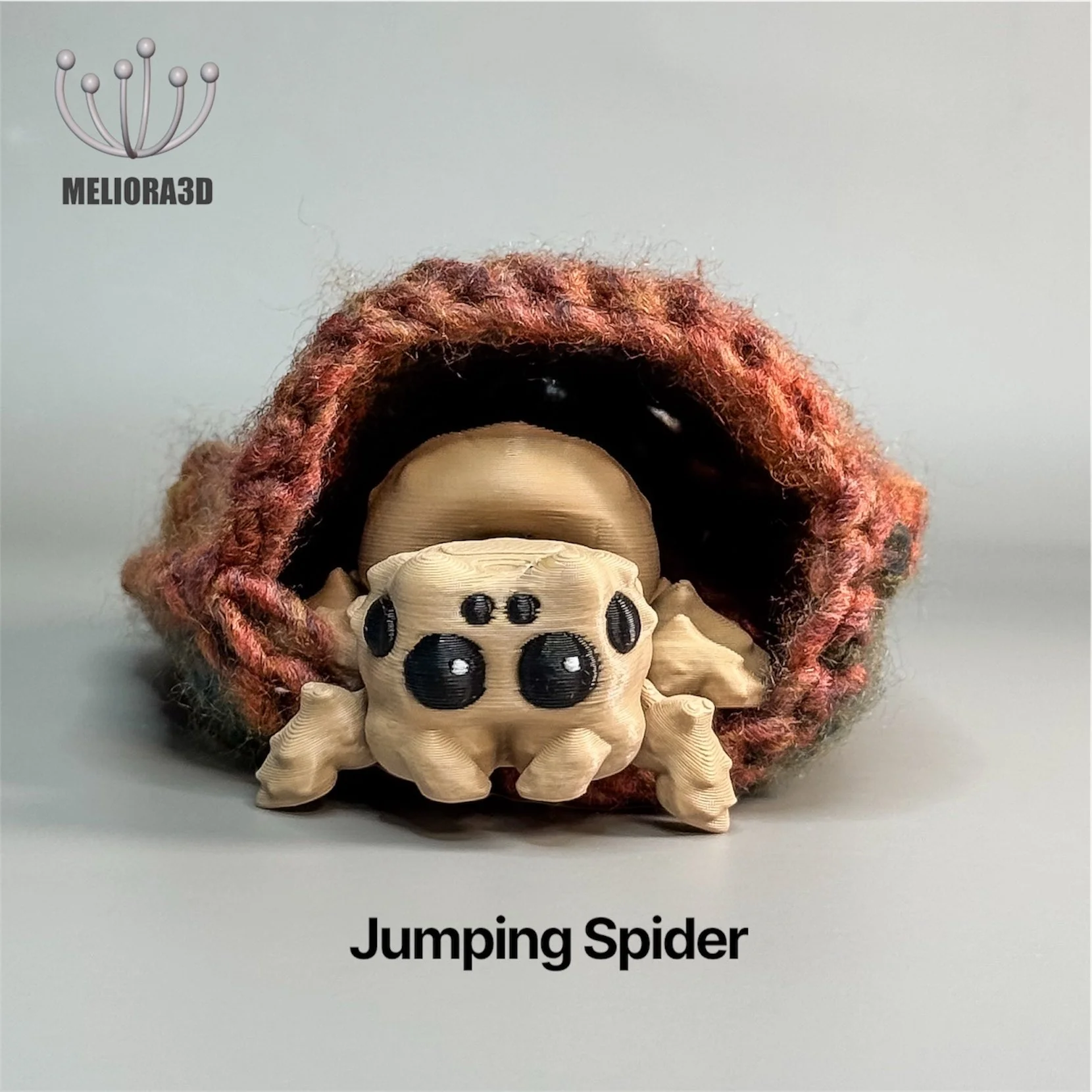 M3D-Jumping Spider 3d model