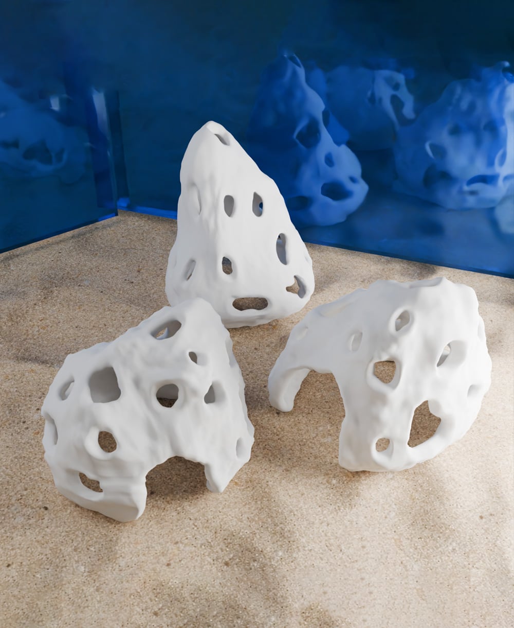 Coral Reef Fish Houses 3d model
