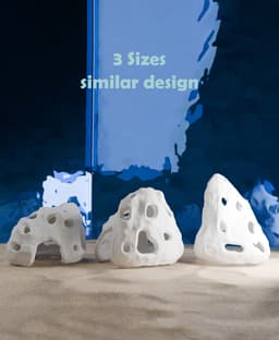 Coral Reef Fish Houses 3d model