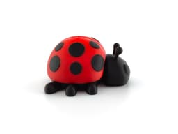 Ladybug 3d model