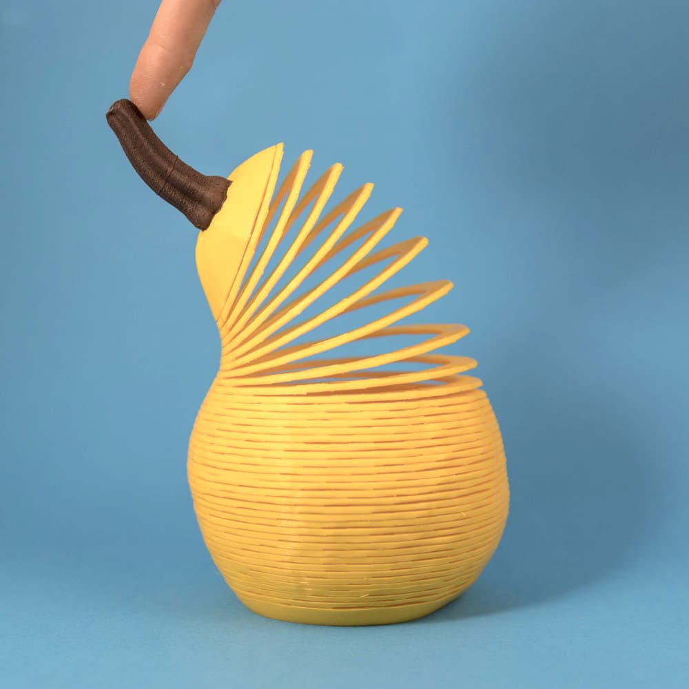 Squash Springo (2 sizes) 3d model