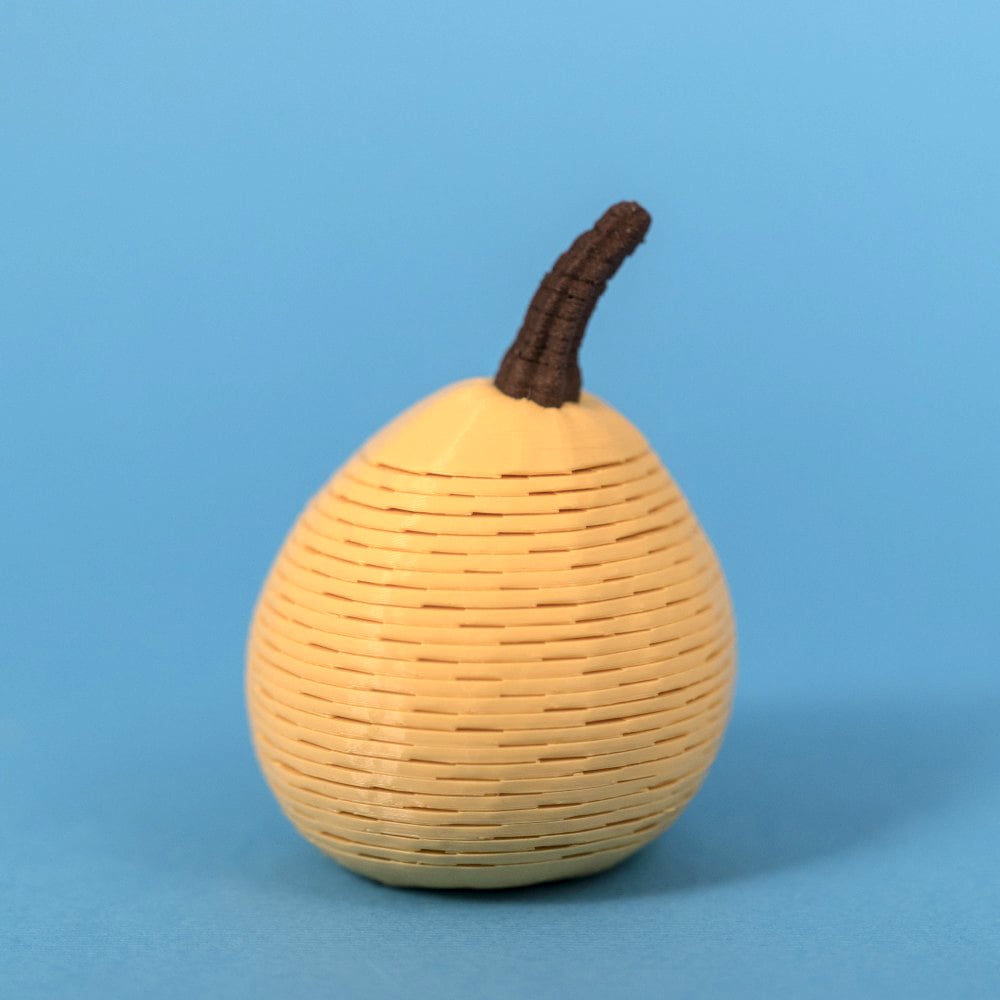 Squash Springo (2 sizes) 3d model