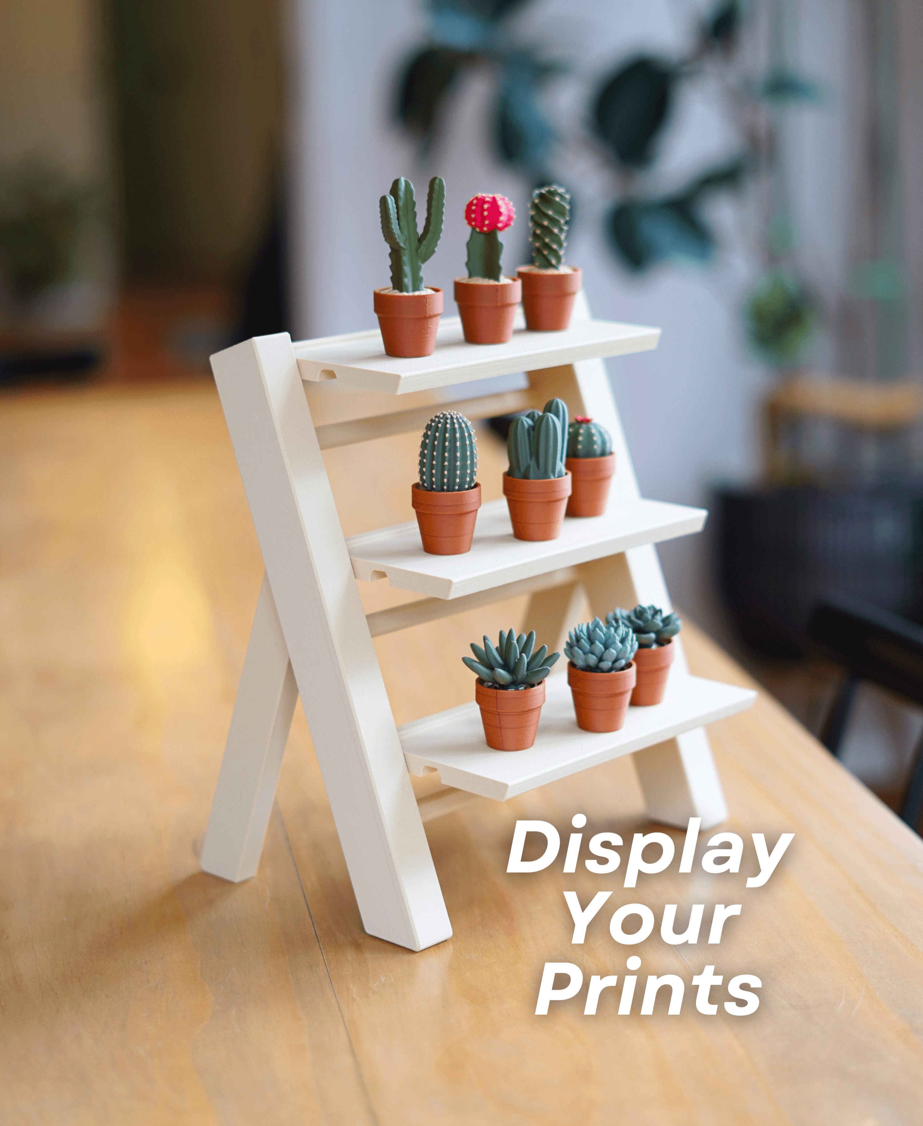 Display Stand 3d model