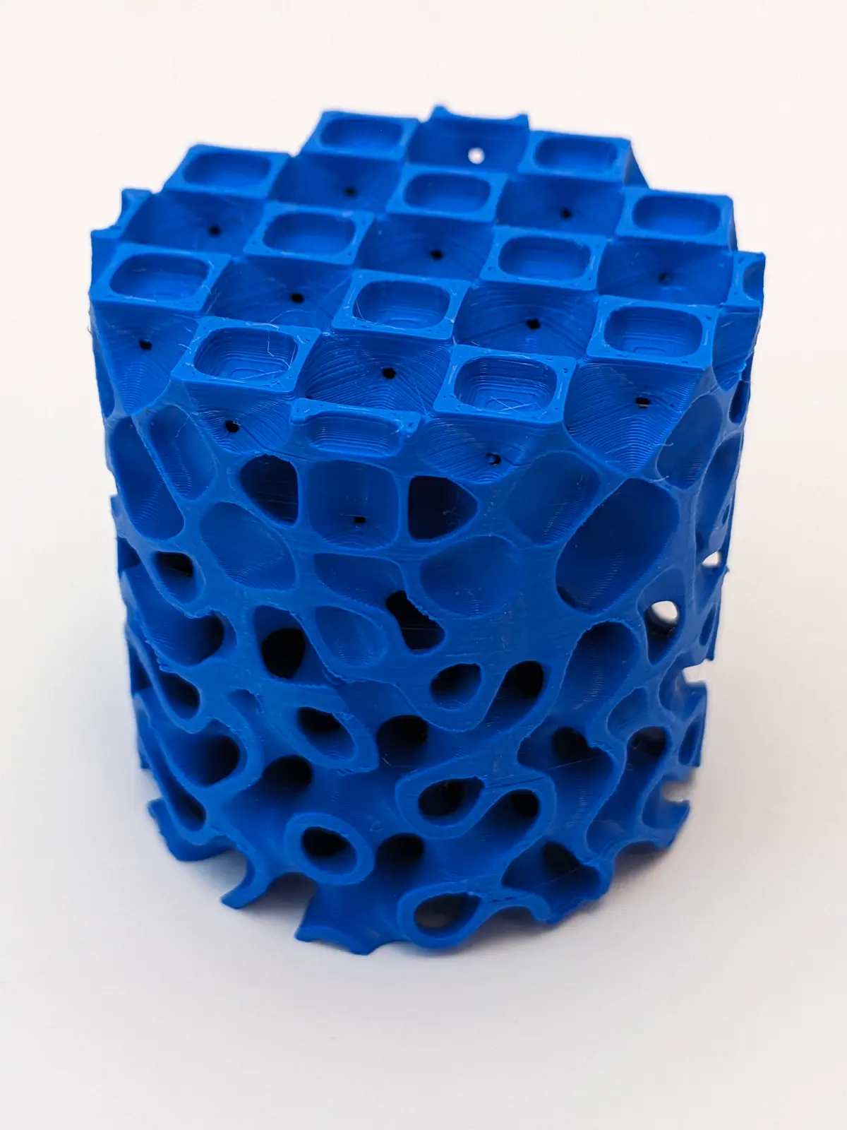 Gyroid Filter Select membership plan including OctoSurface to Gyroid Lattice ...
