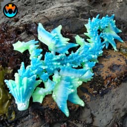 Ocean Dragon 3d model