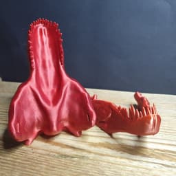 T Rex Skull 3d model