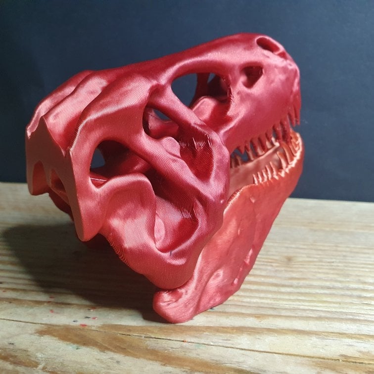 T Rex Skull 3d model
