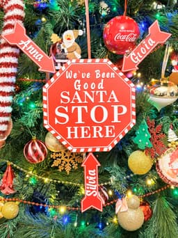 SANTA STOP HERE 3d model