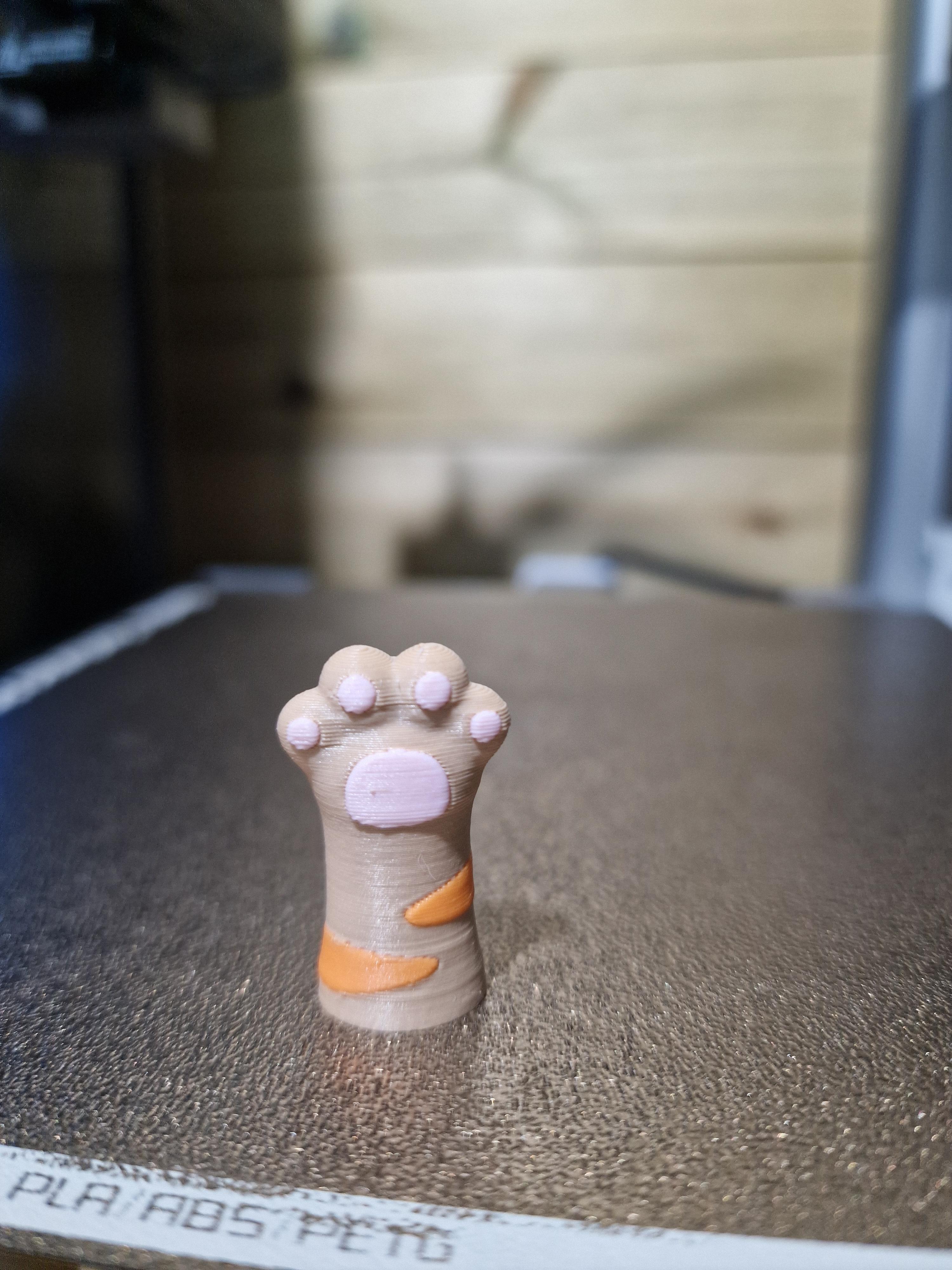 Cat Paw Pencil Toppers 3d model