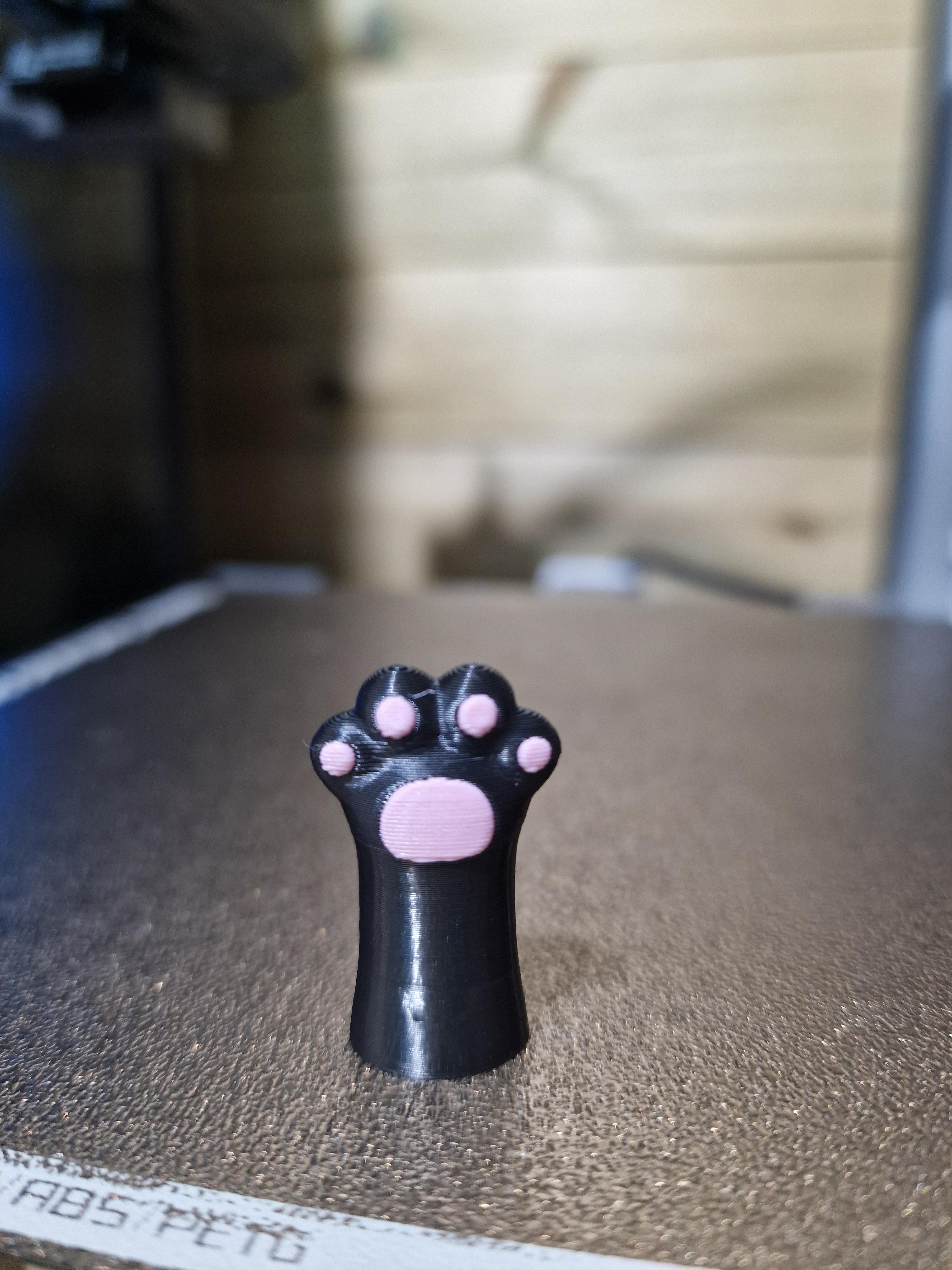Cat Paw Pencil Toppers 3d model