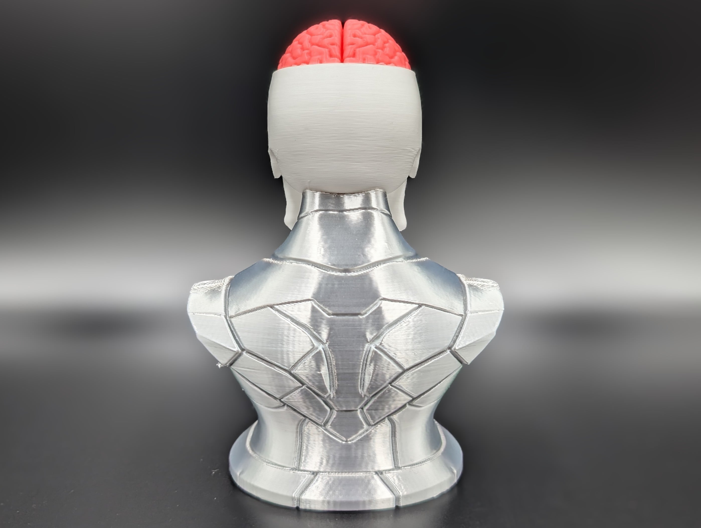 Craniumortis - No AMS / Multi-Part Bust 3d model