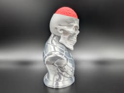 Craniumortis - No AMS / Multi-Part Bust 3d model