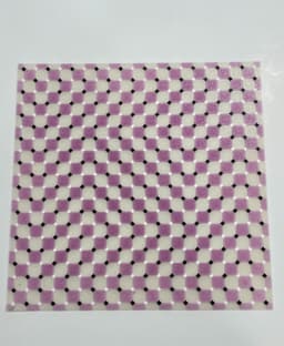 Optical Illusion v2 3d model