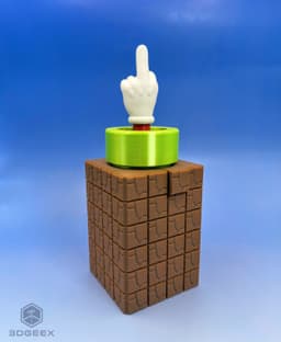 Mario's Last Descent 3d model