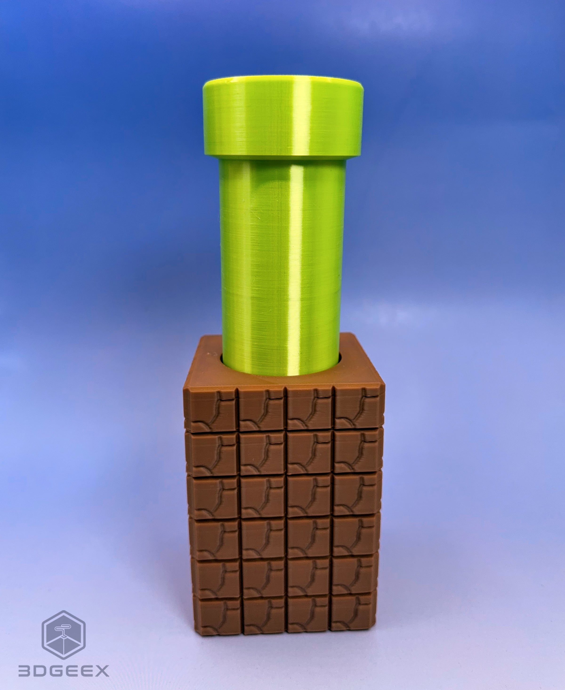 Mario's Last Descent 3d model